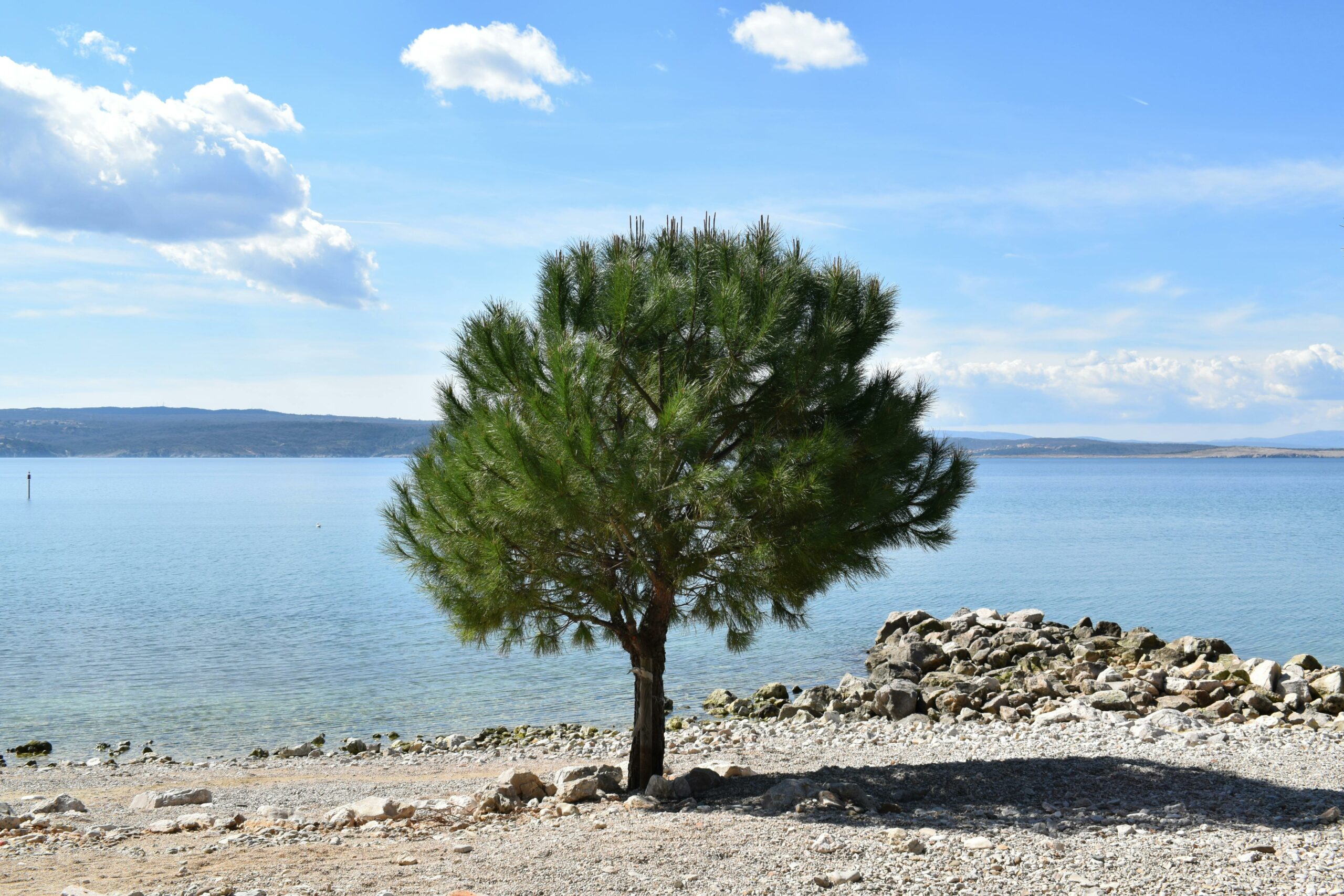 What to do in Crikvenica?