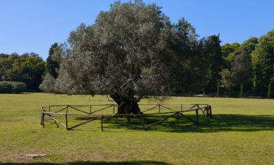 2025 H&I company teambuilding trip